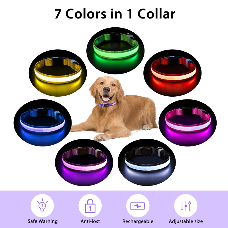 PcEoTllar Light up Dog Collar for Night Walking - LED Dog Collar Light Rechargeable Color Changing, Glow in The Dark Dog Collars Waterproof Glowing Dog Collars for Large Small Medium Dogs - Image 4